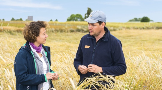 Charlotte Kling und Jörg Juister, Mitarbeiterin und Geschäftsführer von Gut Wilmersdorf, diskutieren über unterschiedliche Getreidesorten.